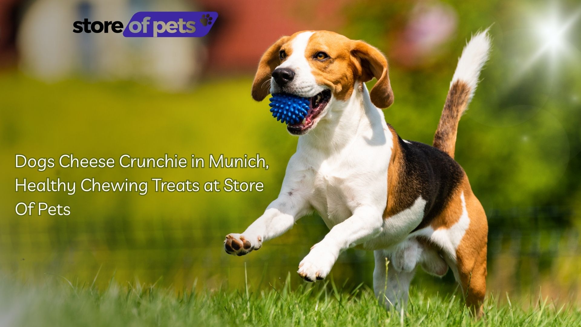 Dogs Cheese Crunchie in Munich, Healthy Chewing Treats at Store Of Pets
