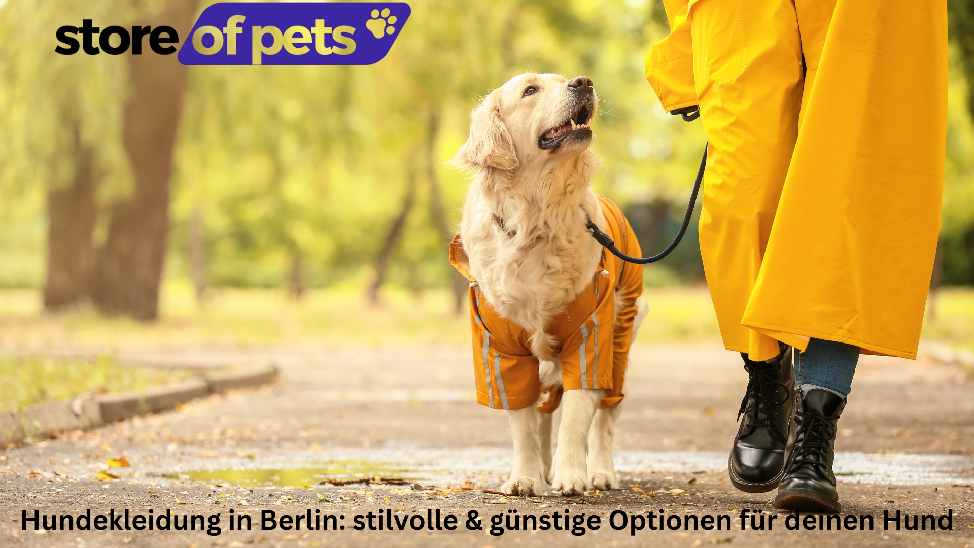 Hundekleidung in Berlin: stilvolle & günstige Optionen für deinen Hund