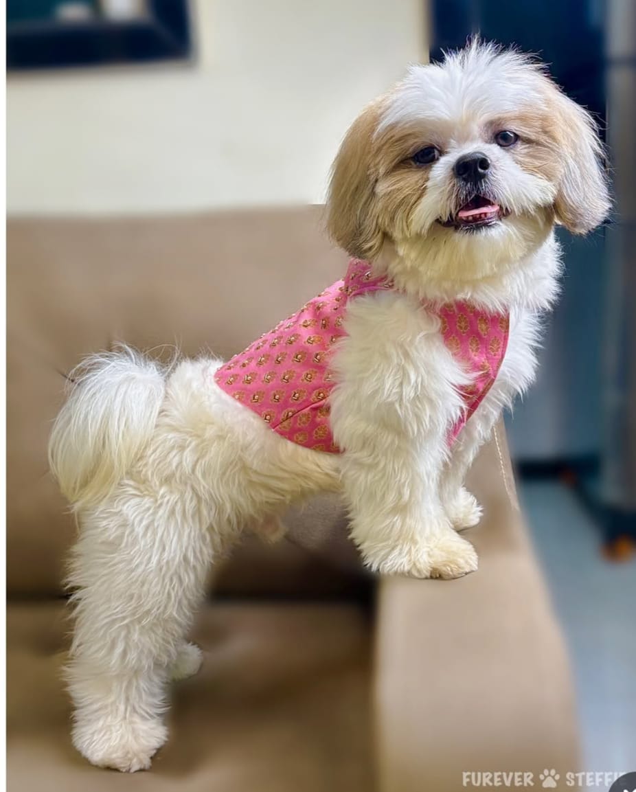 Cozy Pink Winter Jacket for Pets