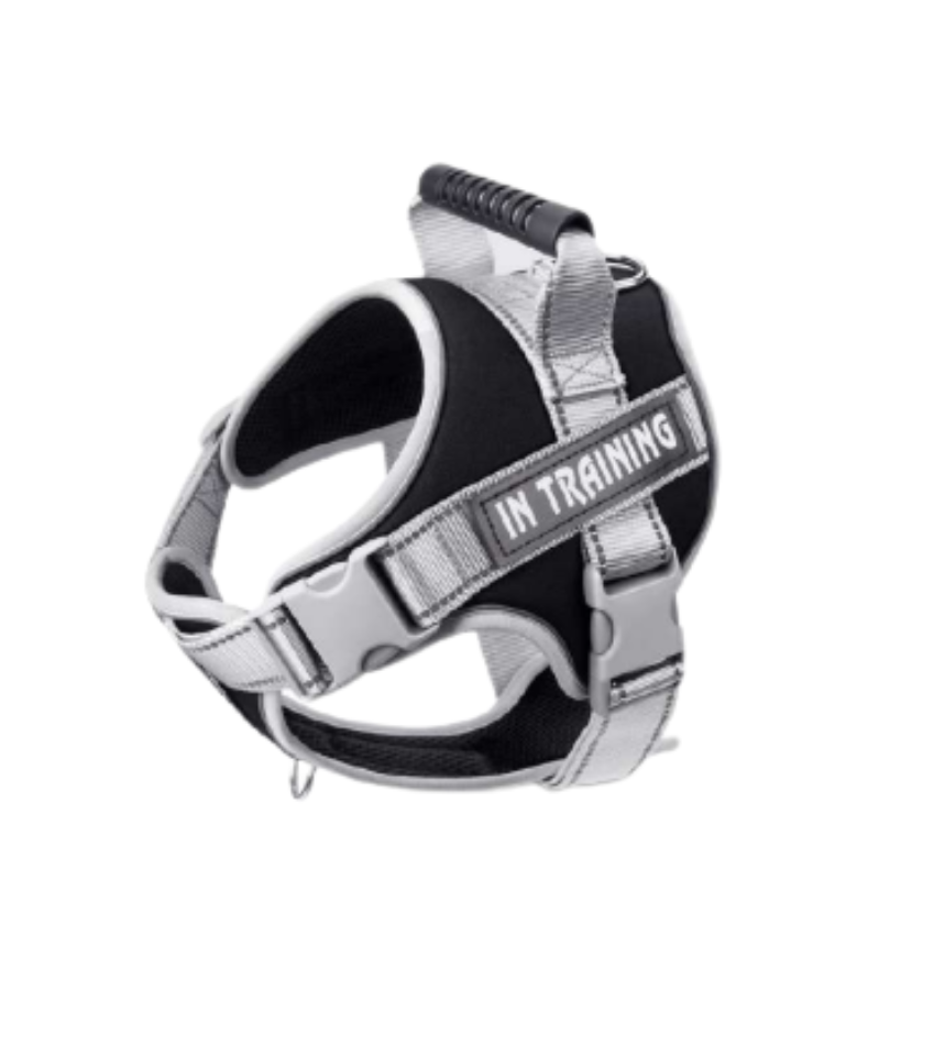 Dog Harness (Reflective, Adjustable)