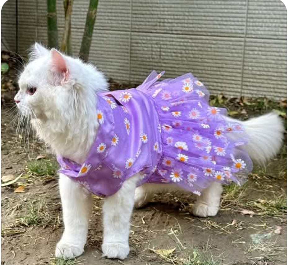 Lilac Hoodie with Polka Dots