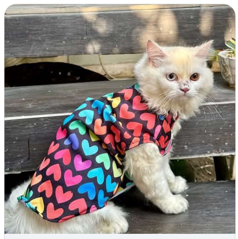 Rainbow Heart-Print Hoodie for Pets
