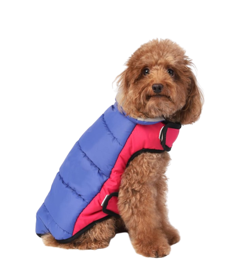 Sport Look Double Padded Jacket