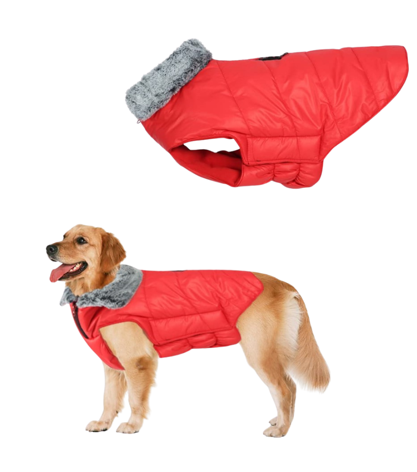 Winter Coat with Fur Collar