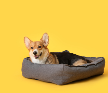 Beds (Different Shapes & Sizes)